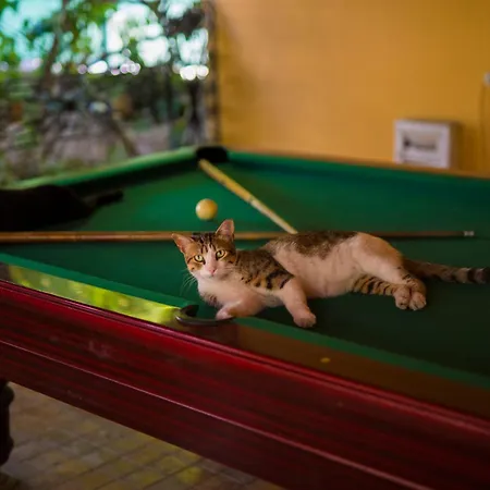 Akkent Garden Fethiye