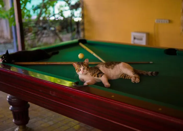 Akkent Garden Fethiye